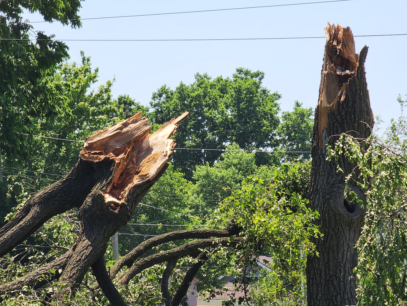 061422 storm damage