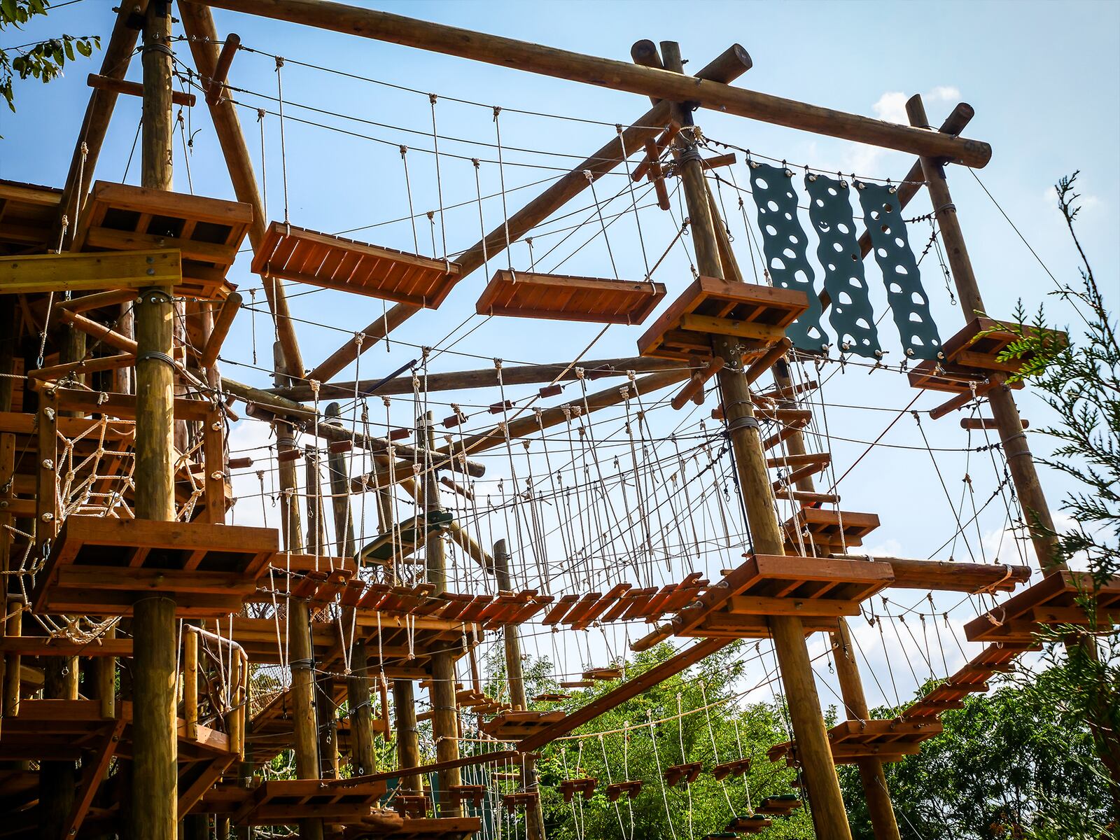 The Cincinnati Zoo & Botanical Center’s new Dornette Kanga’ Klimb Aerial Adventure Course has opened. The elevated course has 58 different elements and challenges appropriate for any skill level. Obstacles on the climb include swinging logs, plank walk, tight rope, Burma bridge, spider web, post hop and balance beam. CINCINNATI ZOO & BOTANICAL GARDEN