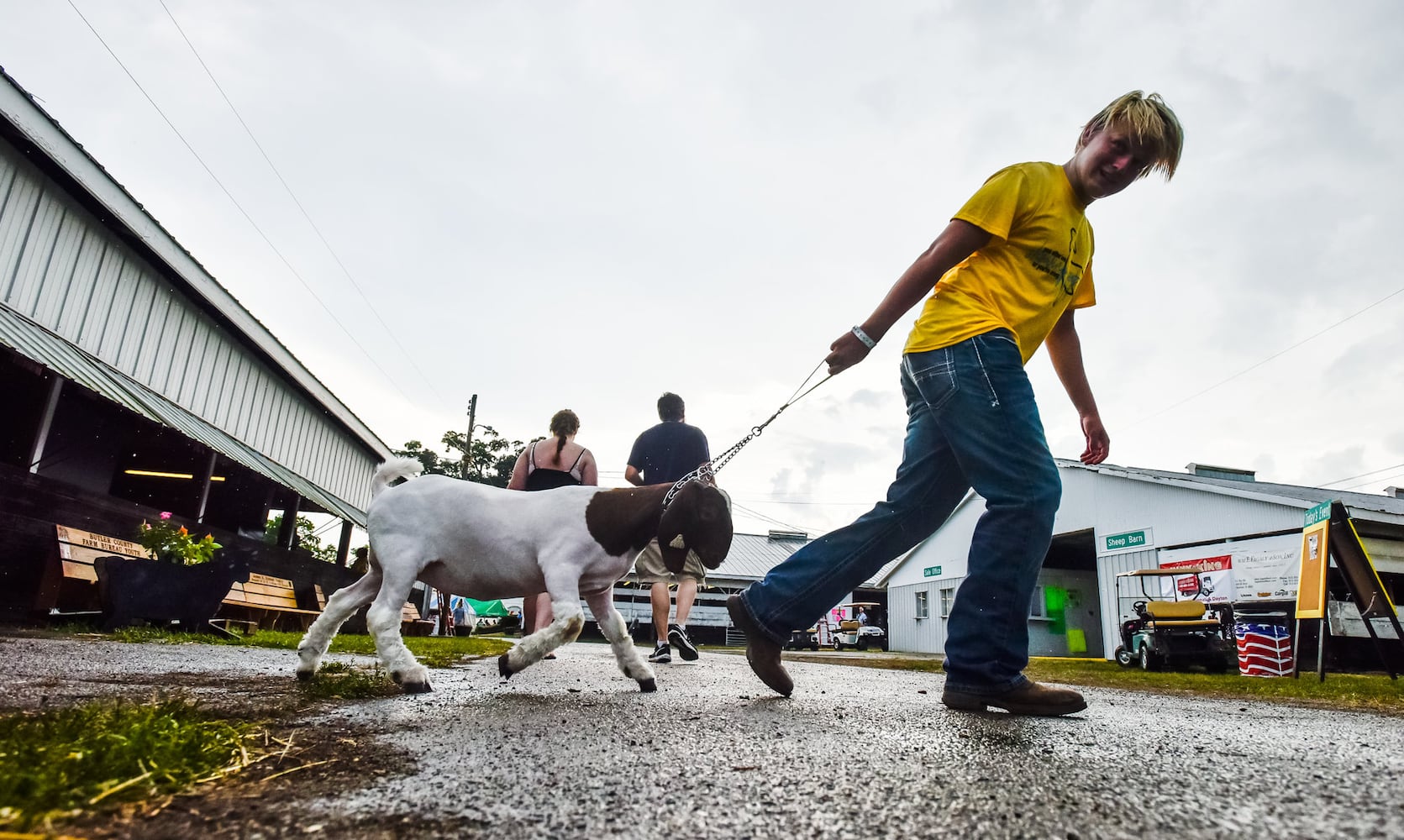 Scenes from the Butler County Fair 2019