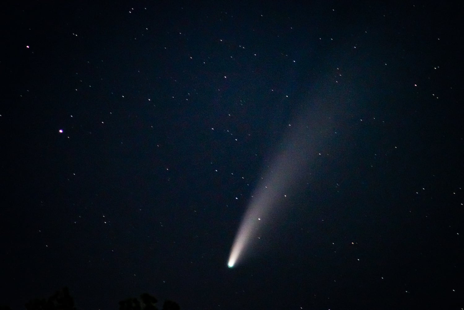 NEOWISE comet visible in the night sky