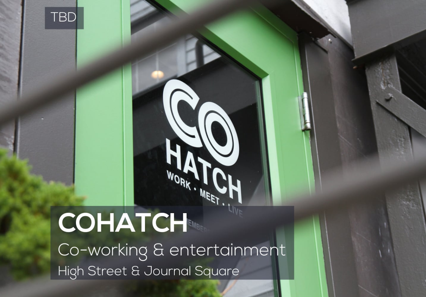 COhatch Hamilton 1