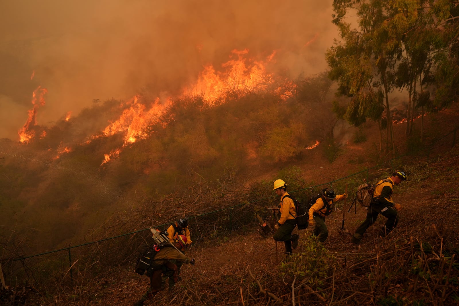 Fire Crews battle the Palisades Fire in Mandeville Canyon Saturday, Jan. 11, 2025, in Los Angeles. (AP Photo/Jae C. Hong)