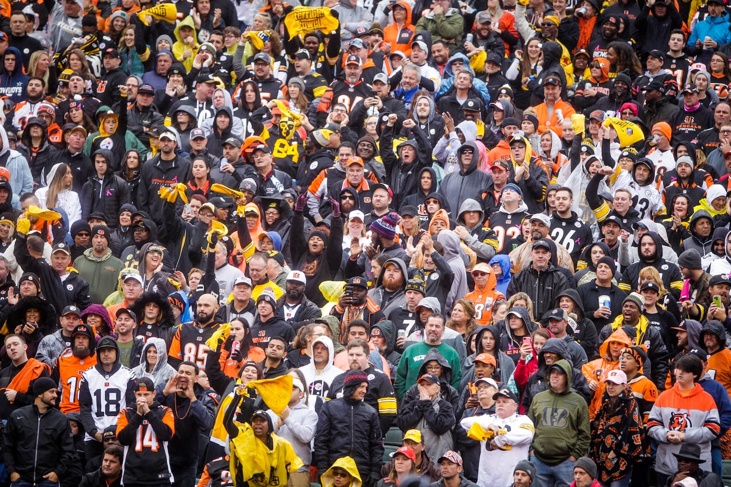 Cincinnati Bengals vs Pittsburgh Steelers football