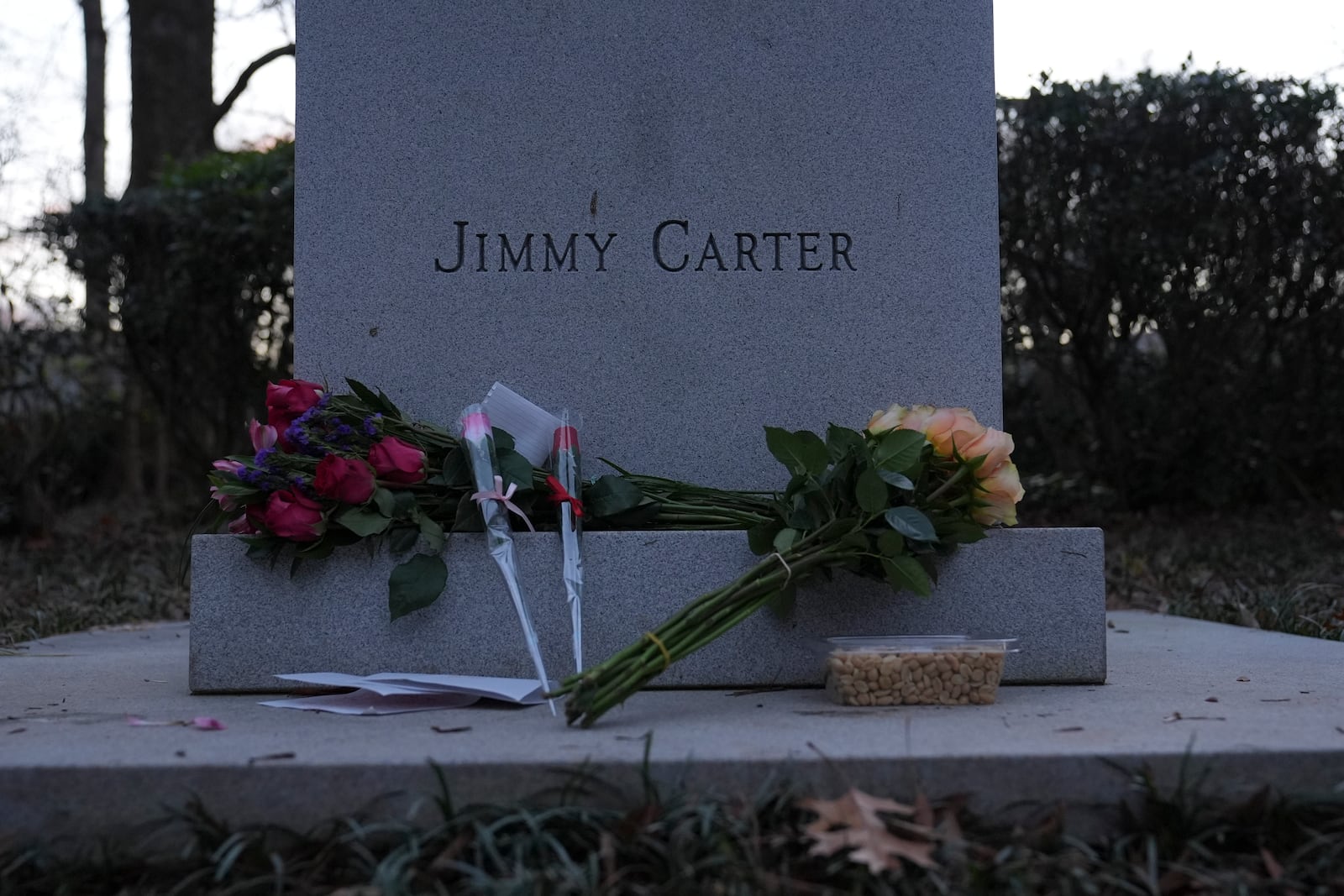 Bouquets of flowers and peanuts rests at the base of a bust of former President Jimmy Carter at the Jimmy Carter Presidential Library and Museum on Sunday, Dec. 29, 2024, in Atlanta. (AP Photo/Brynn Anderson)