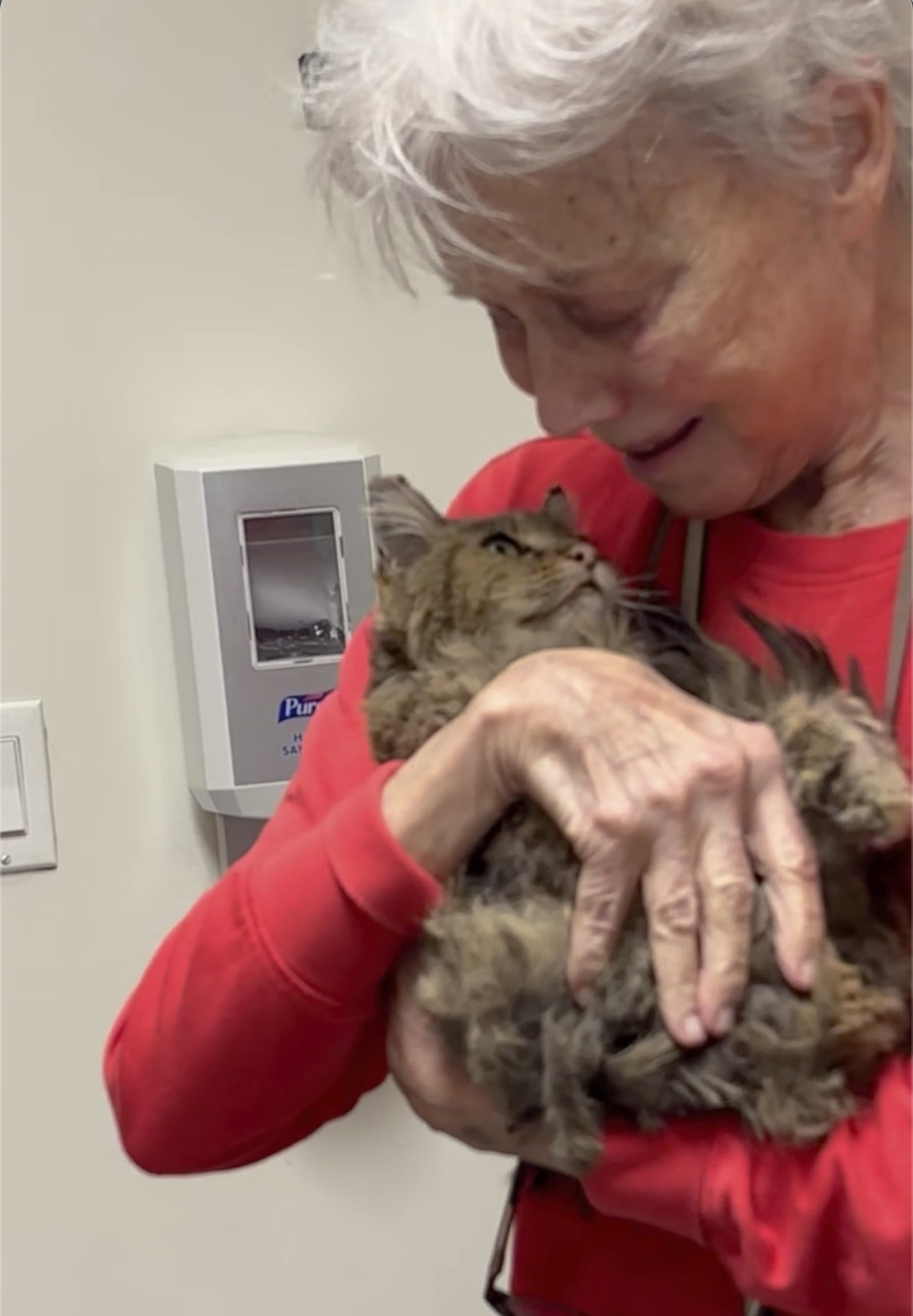 In this image taken from video provided by Carolyn Kiefer her mother, Katherine Kiefer, 82, is reunited with her cat Aggie at VCA Chatoak Animal Hospital after the Palisades Fire destroyed her home and the cat was missing, Saturday, March 8, 2025, in Los Angeles. (Carolyn Kiefer via AP)