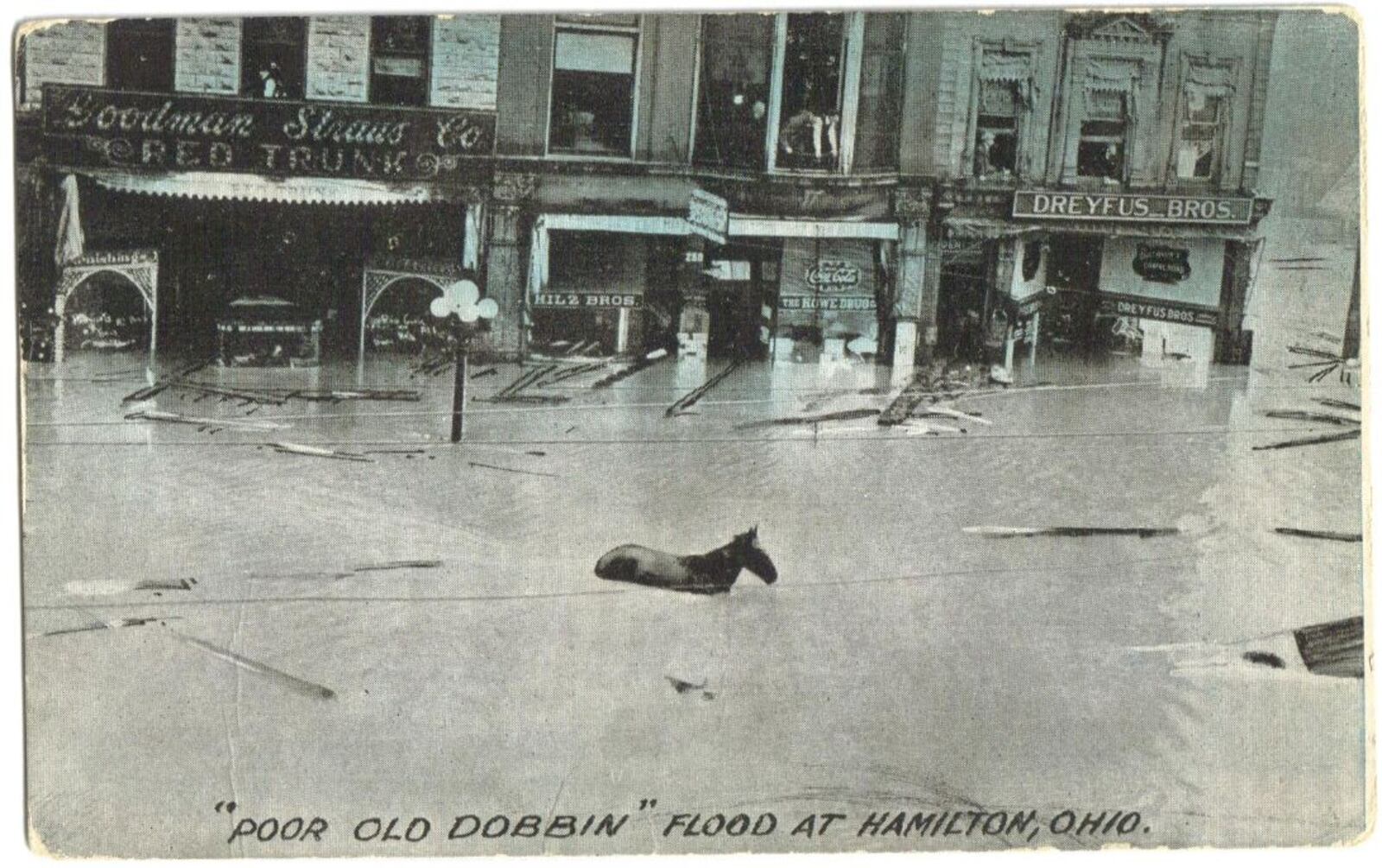 No one knows where he came from, but an old blind horse named Dobbin eventually found his way to safety during the 1913 flood in Hamilton and became one of the iconic figures of the disaster as a result of this post card showing up making his way up High Street.