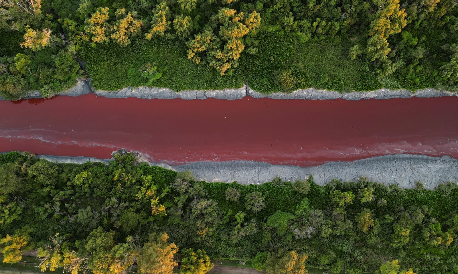 An aerial view of the "Sarandi" stream dyed red due to unknown contaminants allege residents, in an industrial neighborhood on the outskirts of Buenos Aires, Argentina, Thursday, Feb. 6, 2025. (AP Photo/Rodrigo Abd)