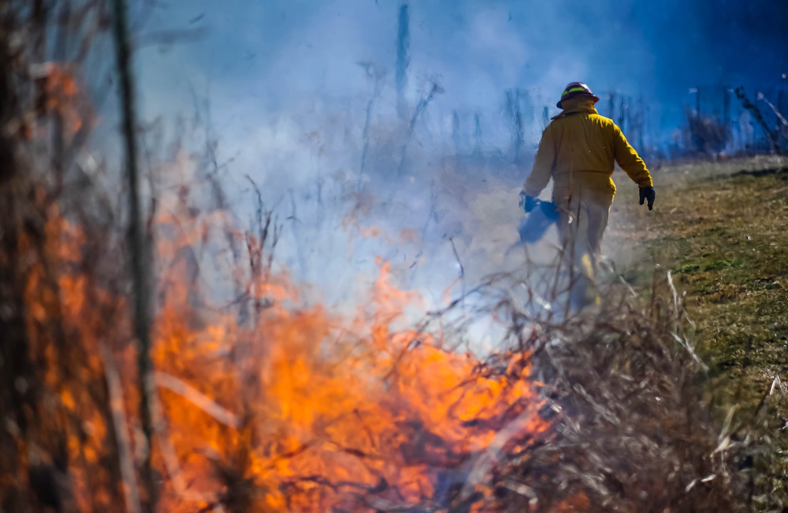 Controlled burns at Riverside Natural Area in Hamilton