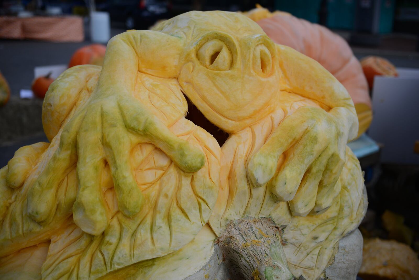 In its sixth year, Operation Pumpkin will return to downtown Hamilton on Friday, October 13 through Sunday, October 15. The annual festival will feature its first sculpting competition as well as a sanctioned, giant pumpkin weigh-off, decorated pumpkins, a Lil Miss Punkin contest, a pet parade, amusement rides, and live entertainment all weekend. CONTRIBUTED PHOTOS