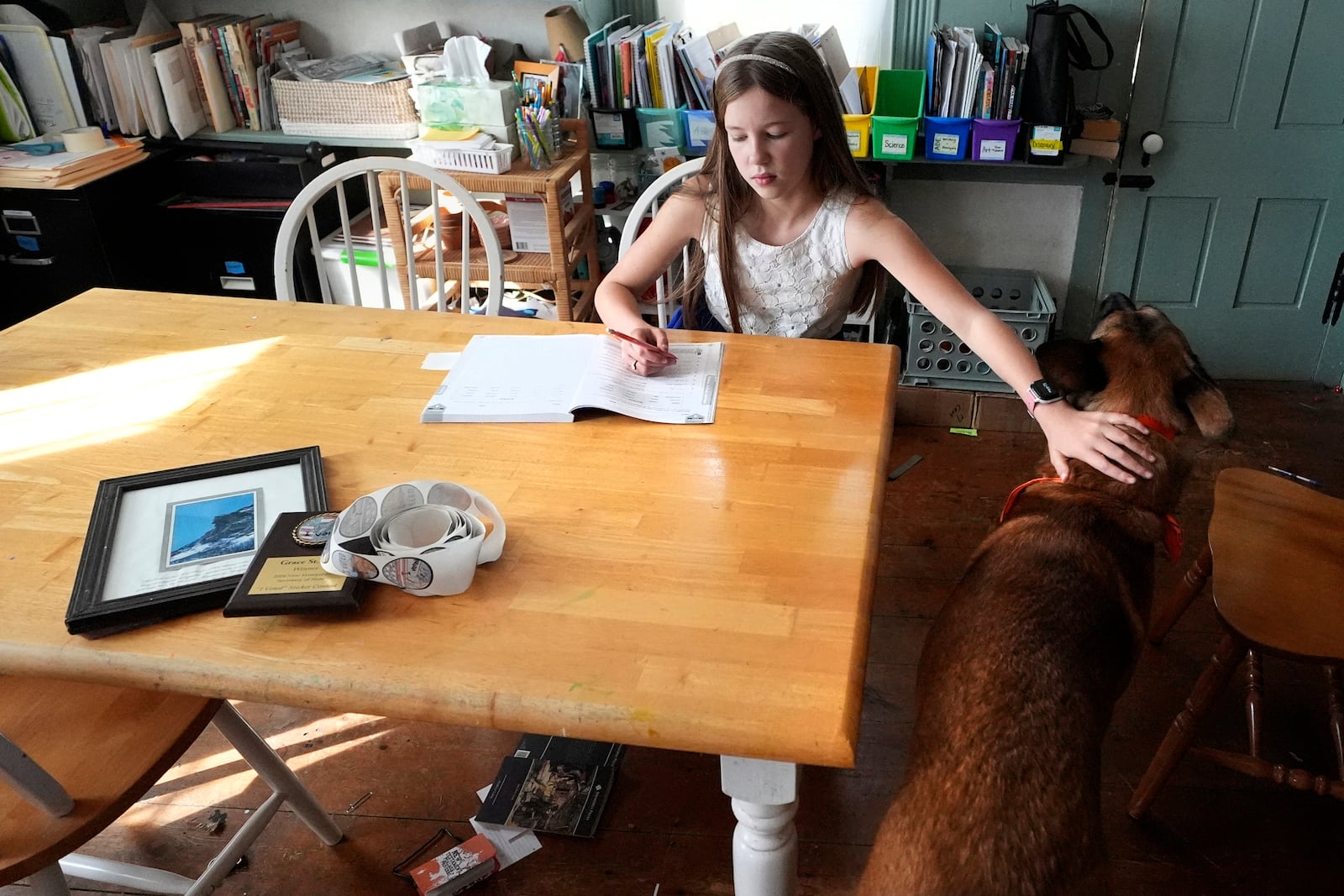 Ten-year-old Grace, of Milton, N.H., who won a "I Voted" sticker contest, pats her dog while doing work in her homeschool classroom, Thursday, Oct. 31, 2024, in Milton. Grace's design, inspired by a framed image of New Hampshire's famed Old Man of the Mountain at her home, features the landmark with an American flag in the background. (AP Photo/Charles Krupa)