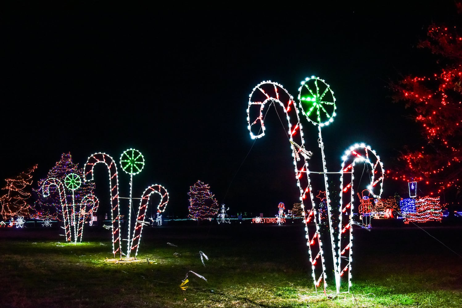 Light Up Middletown at Smith Park