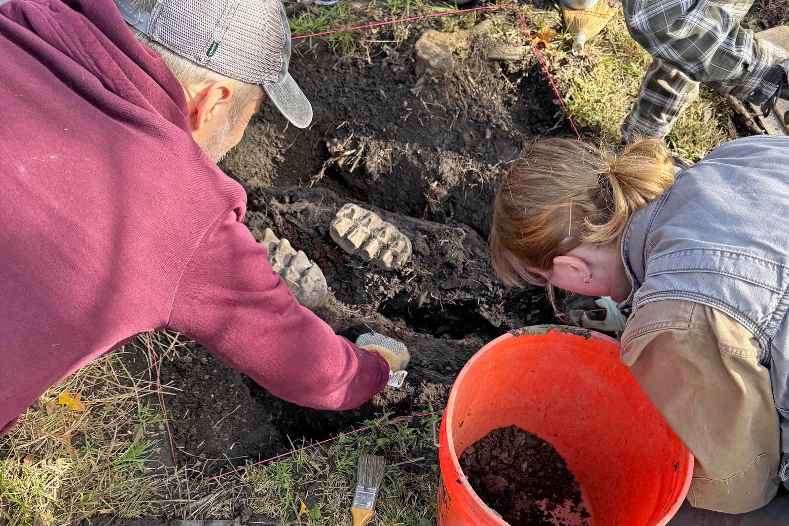 New York State Museum and State University of New York Orange staff unearth a complete well-preserved mastodon jaw, as well as a piece of a toe bone and a rib fragment, that were found protruding from the topsoil in the backyard of a residence near Scotchtown, NY. (New York State Museum via AP)