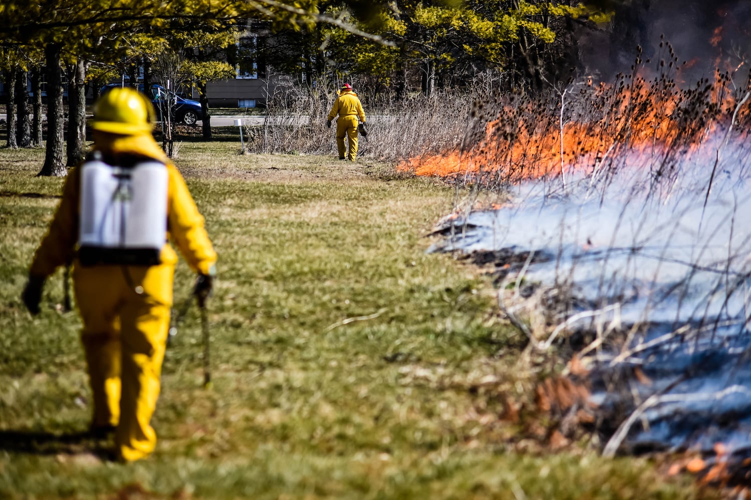 Controlled burns at Riverside Natural Area in Hamilton