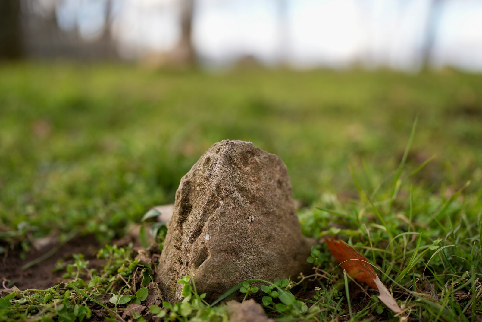 A head stone is seen in a slave cemetery Monday, Dec. 9, 2024, in Nashville, Tenn. The site was discovered at The Hermitage, the home of former President Andrew Jackson. (AP Photo/George Walker IV)