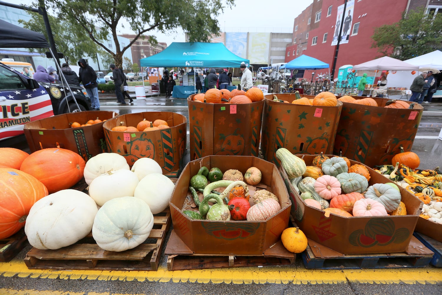 PHOTOS Operation Pumpkin through the years.