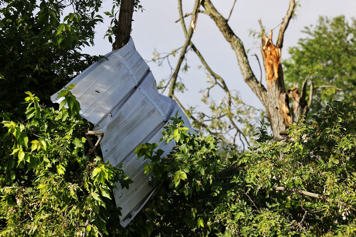 050824 storm damage