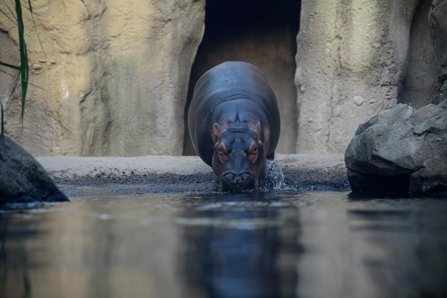 BEHIND THE SCENES: Take a look at what Fiona and Bibi are up to after hours