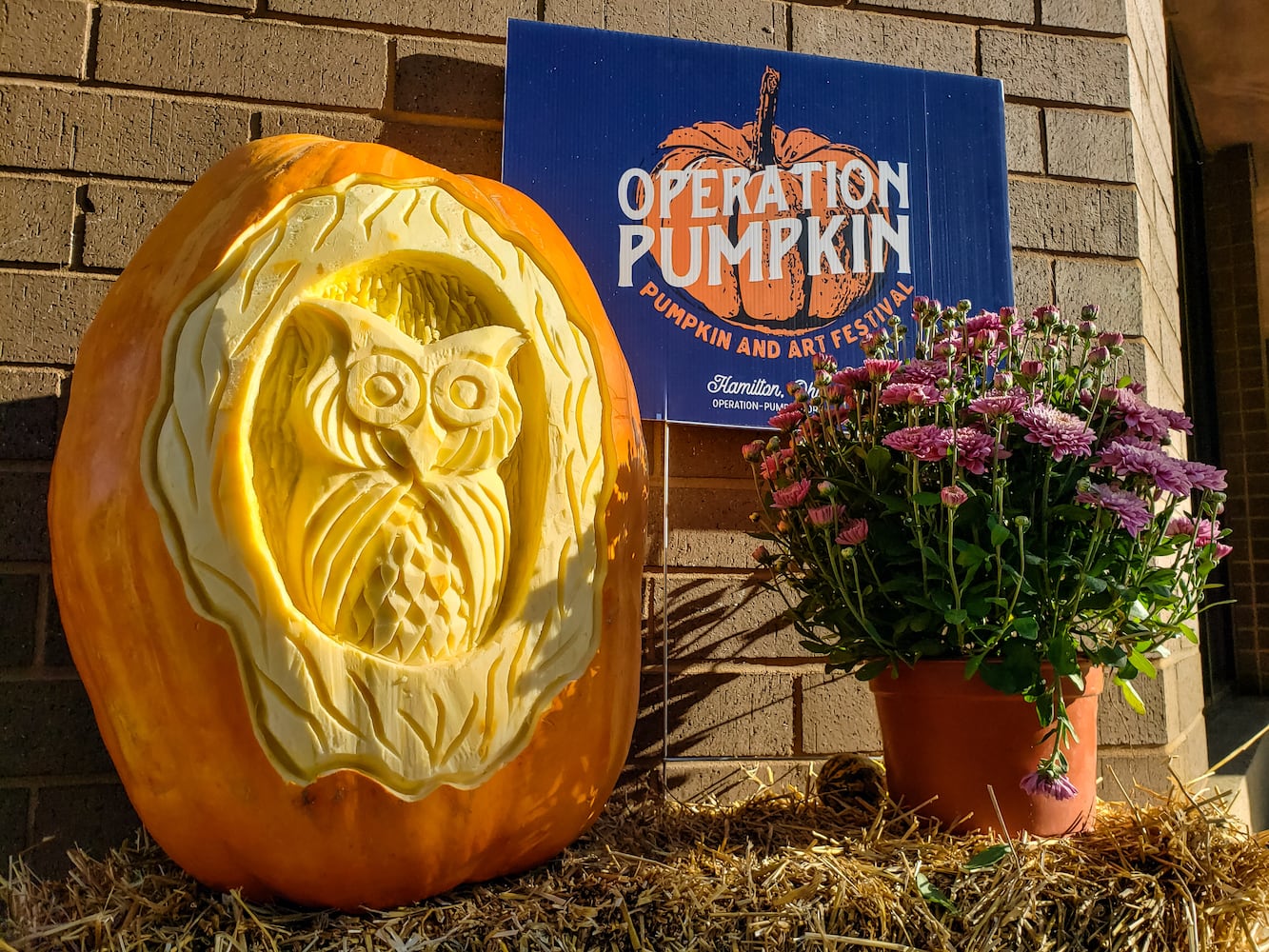 100820 Operation Pumpkin