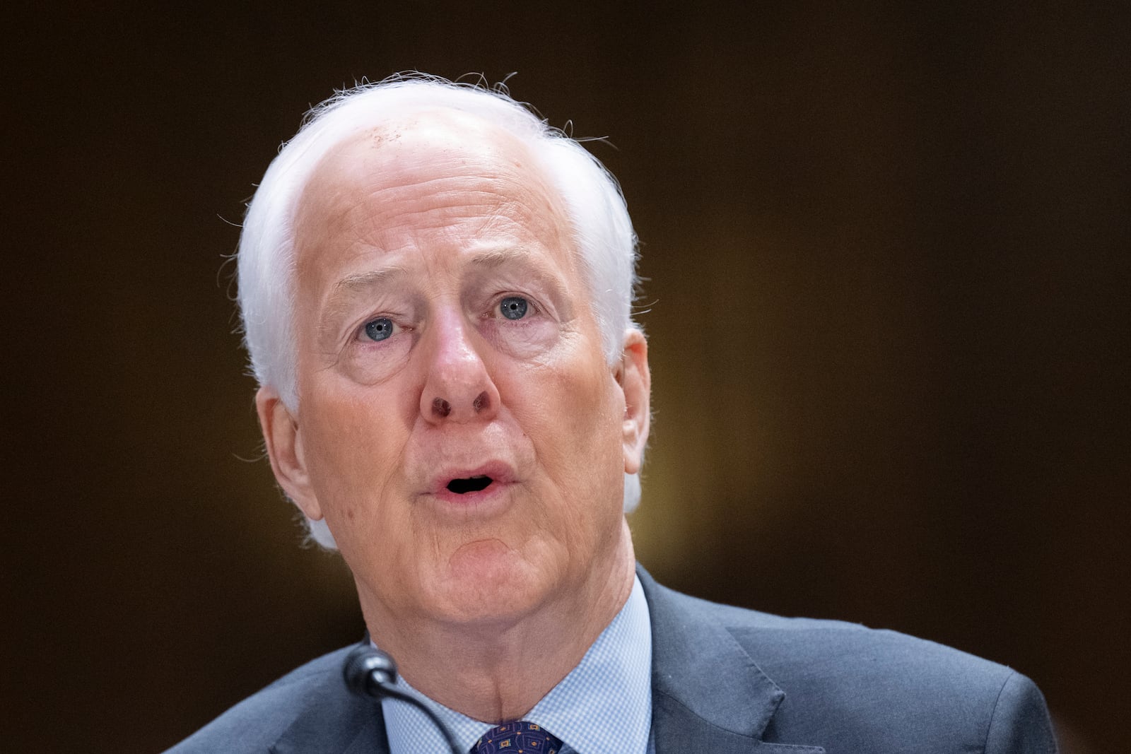 Sen. John Cornyn, R-Texas, introduces Brooke Rollins during a Senate Agriculture, Nutrition, and Forestry Committee hearing on her nomination for Secretary of Agriculture, Thursday, Jan. 23, 2025, in Washington. (AP Photo/Jacquelyn Martin)