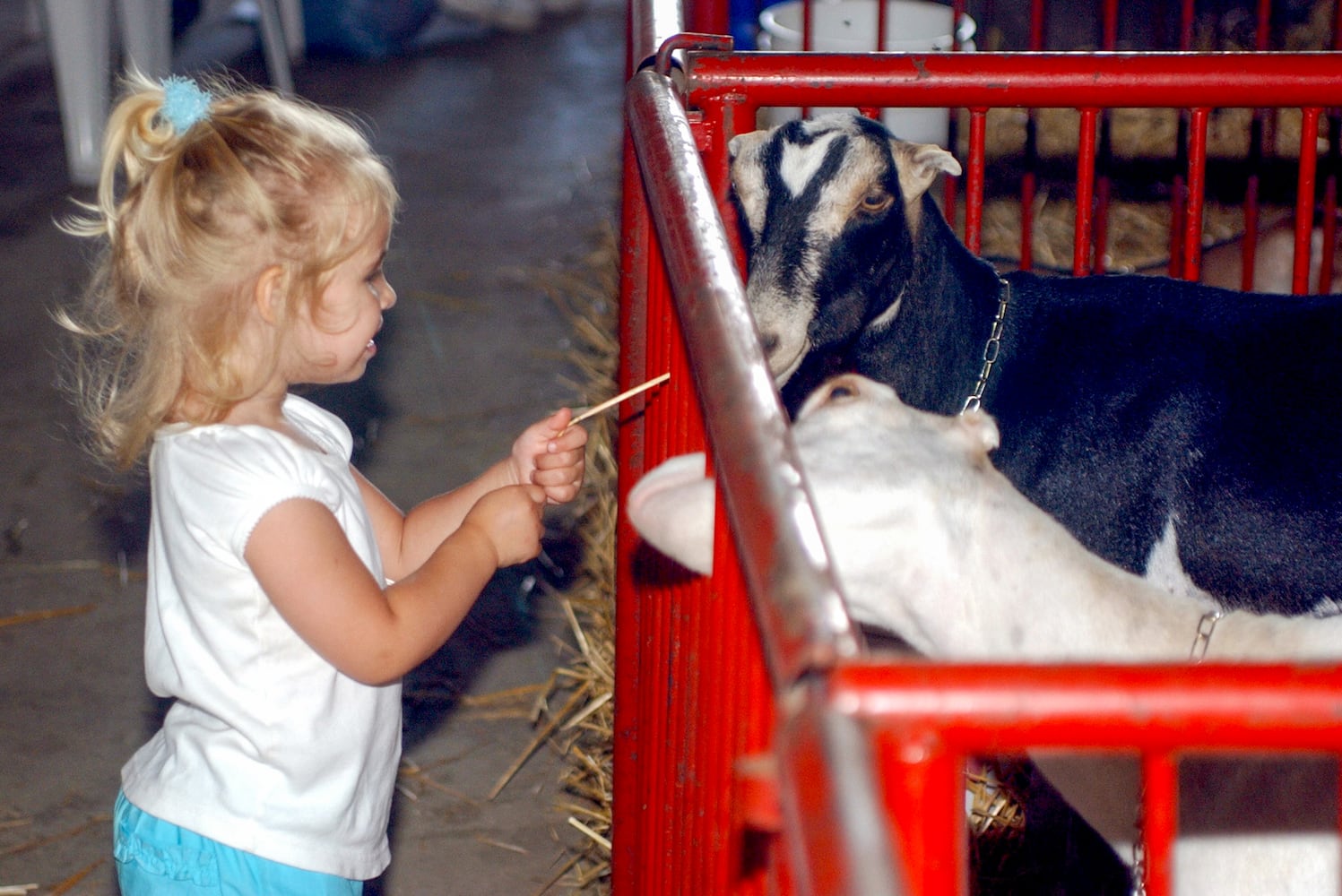 Butler County Fair flashback 2003