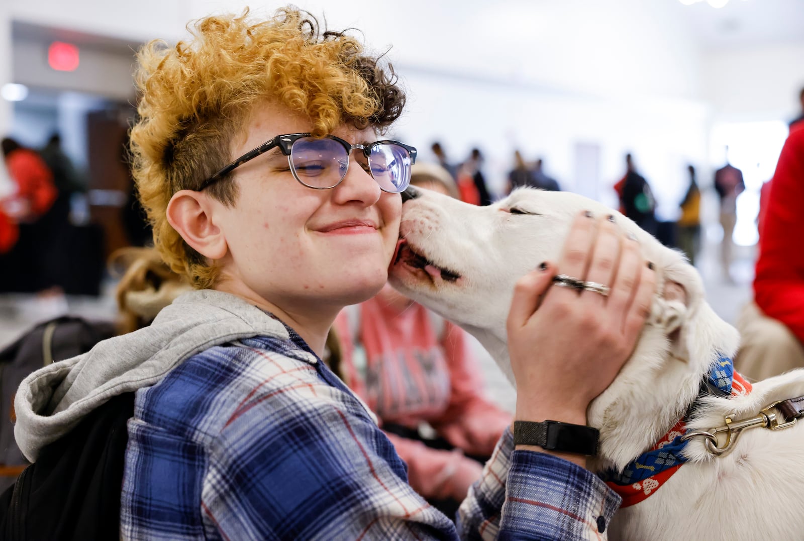 Therapy dog, Okie, gives special attention to Miami sophomore Kade Schuman during Stress Less Day Thursday, April 6, 2023 at Armstrong student center at Miami University in Oxford. Many organizations had booths at the event with snacks, handouts, therapy dogs, massages and more. Miami UniversityÕs suicide prevention team and the student counseling service are sponsoring a weeklong campaign to spread awareness about suicide prevention as well as stress management, self-care, and improving well-being. NICK GRAHAM/STAFF