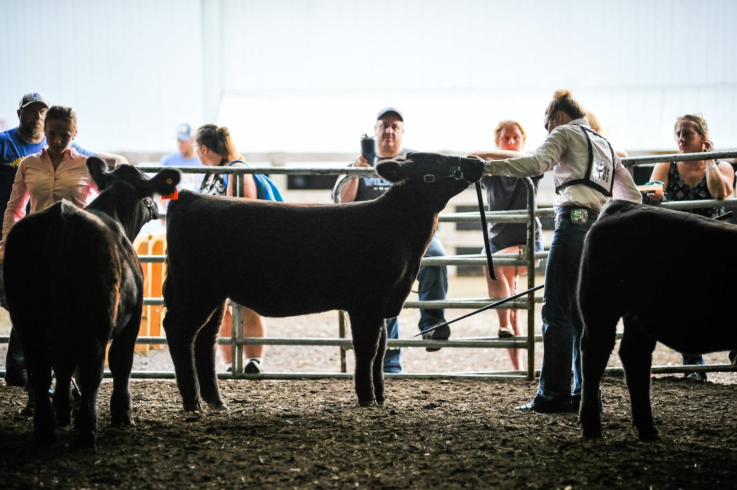 Scenes from the Butler County Fair 2019