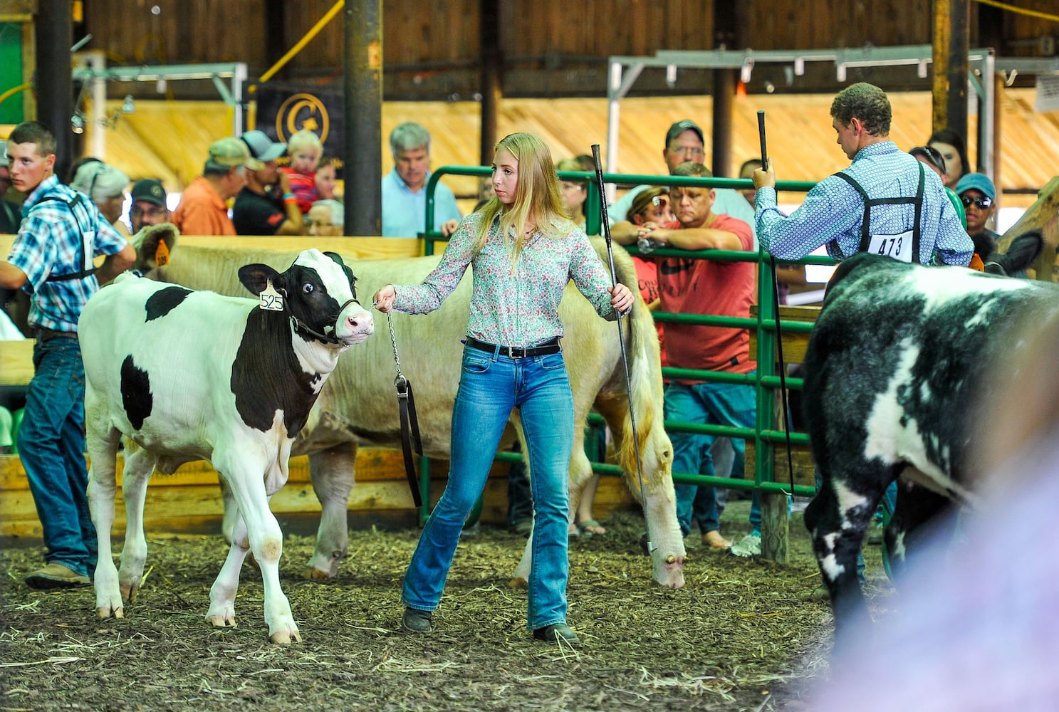 Butler County Fair 2018