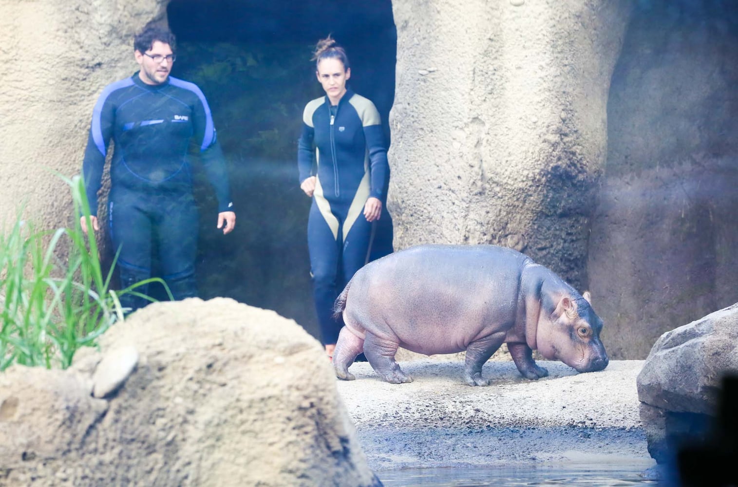 PHOTOS Fiona at the Cincinnati Zoo