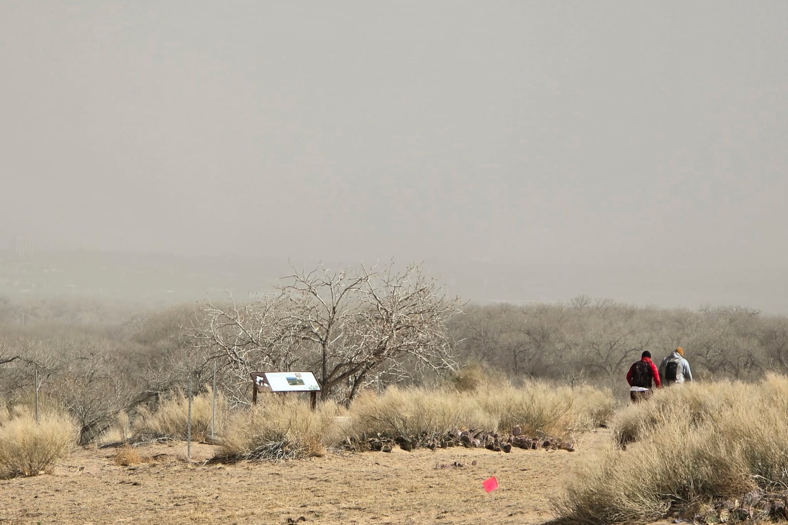 Dust fills the sky in Albuquerque, N.M., Tuesday, March 18, 2025. (AP Photo/Felicia Fonseca)