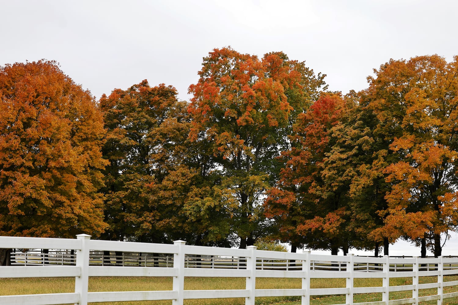 102622 fall colors Butler County