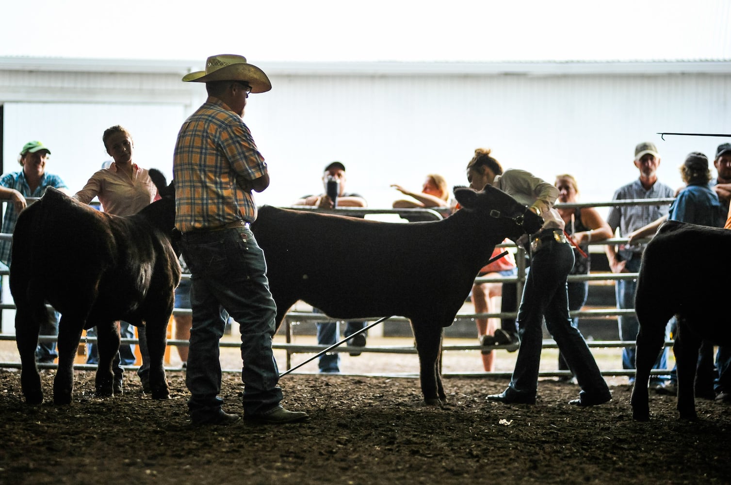 Scenes from the Butler County Fair 2019