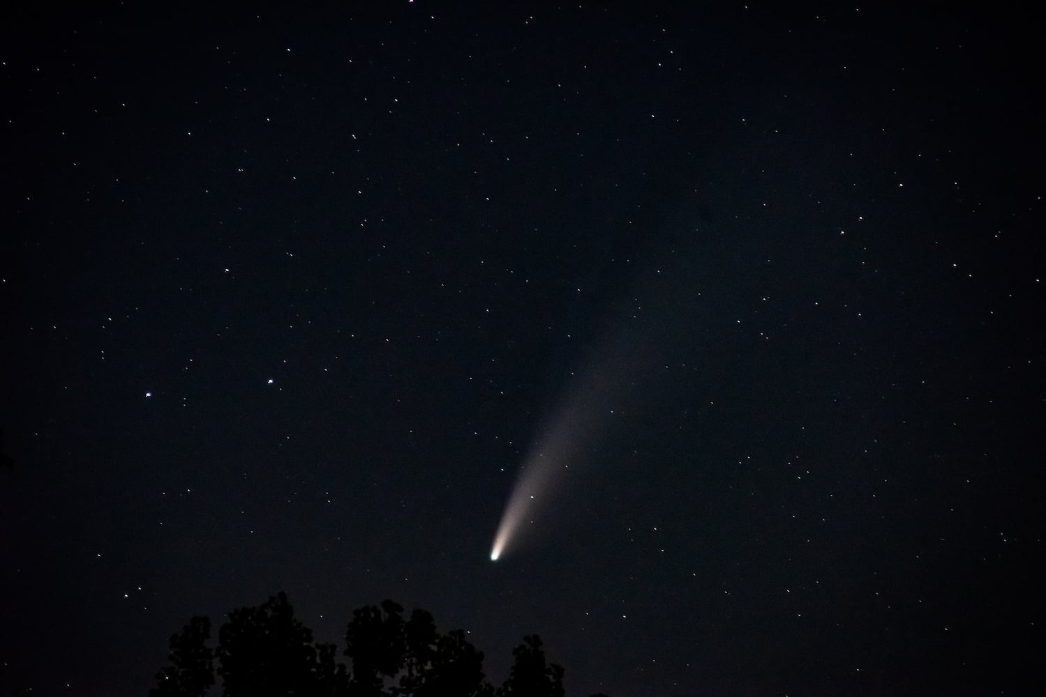 NEOWISE comet visible in the night sky