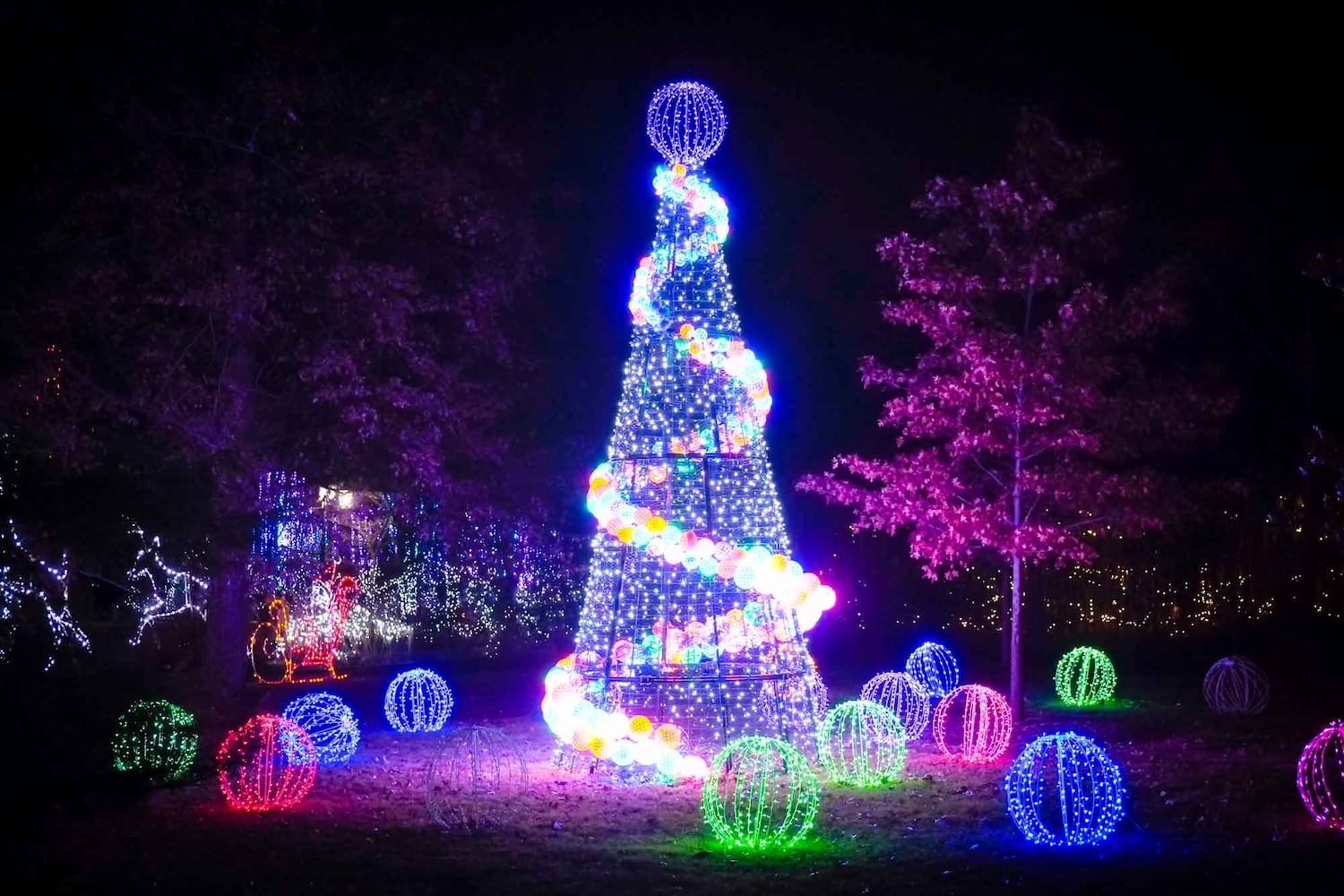 PHOTOS Cincinnati Zoo Festival of Lights 2019