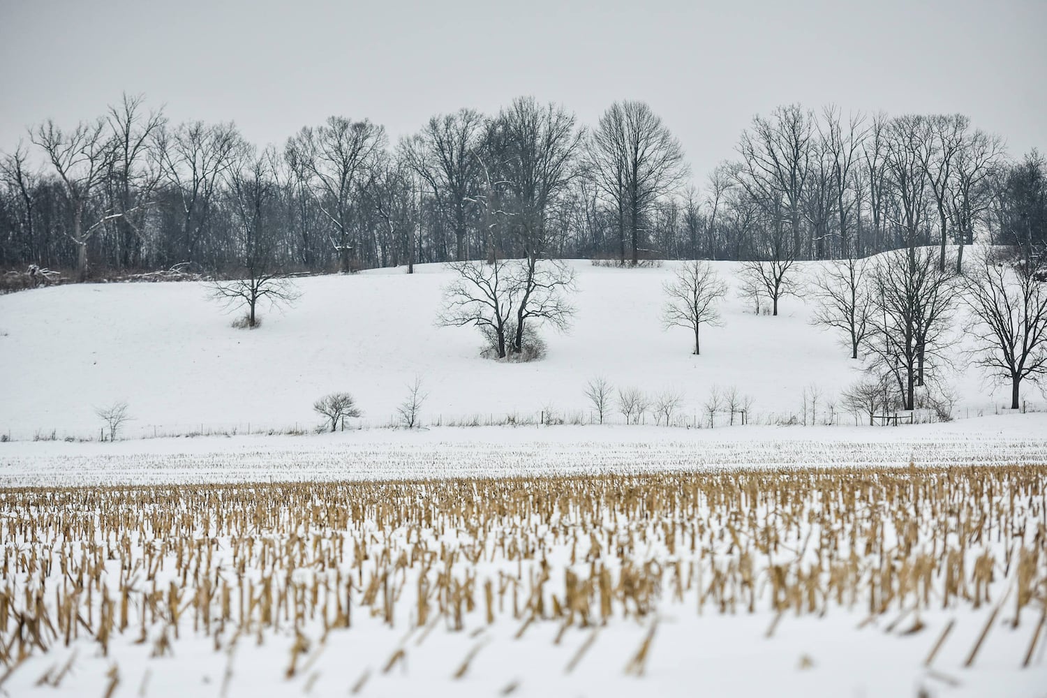 winter weather in Butler County