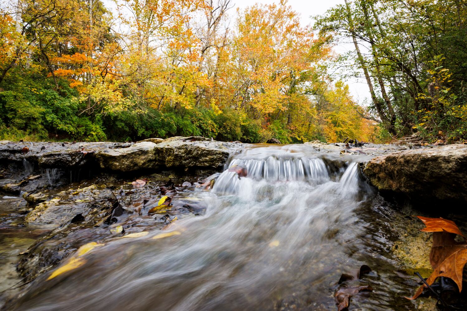 101923 fall colors