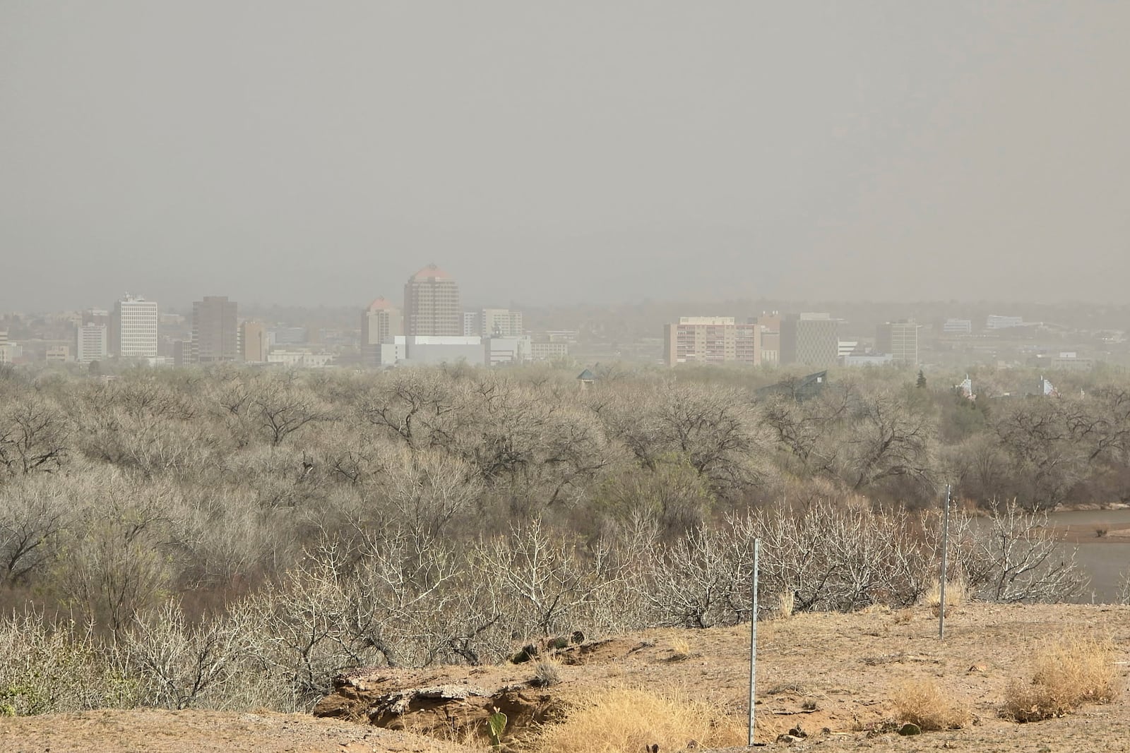 Dust shrouds buildings in Albuquerque, N.M., Tuesday, March 18, 2025. (AP Photo/Felicia Fonseca)