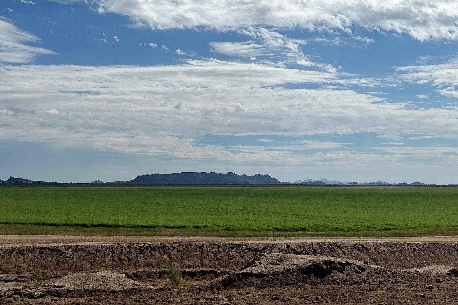 This September 2022 photo provided by Arizona Attorney General Kris Mayes' office shows alfalfa fields in Salome, Ariz. (Arizona Attorney General Kris Mayes' office via AP)