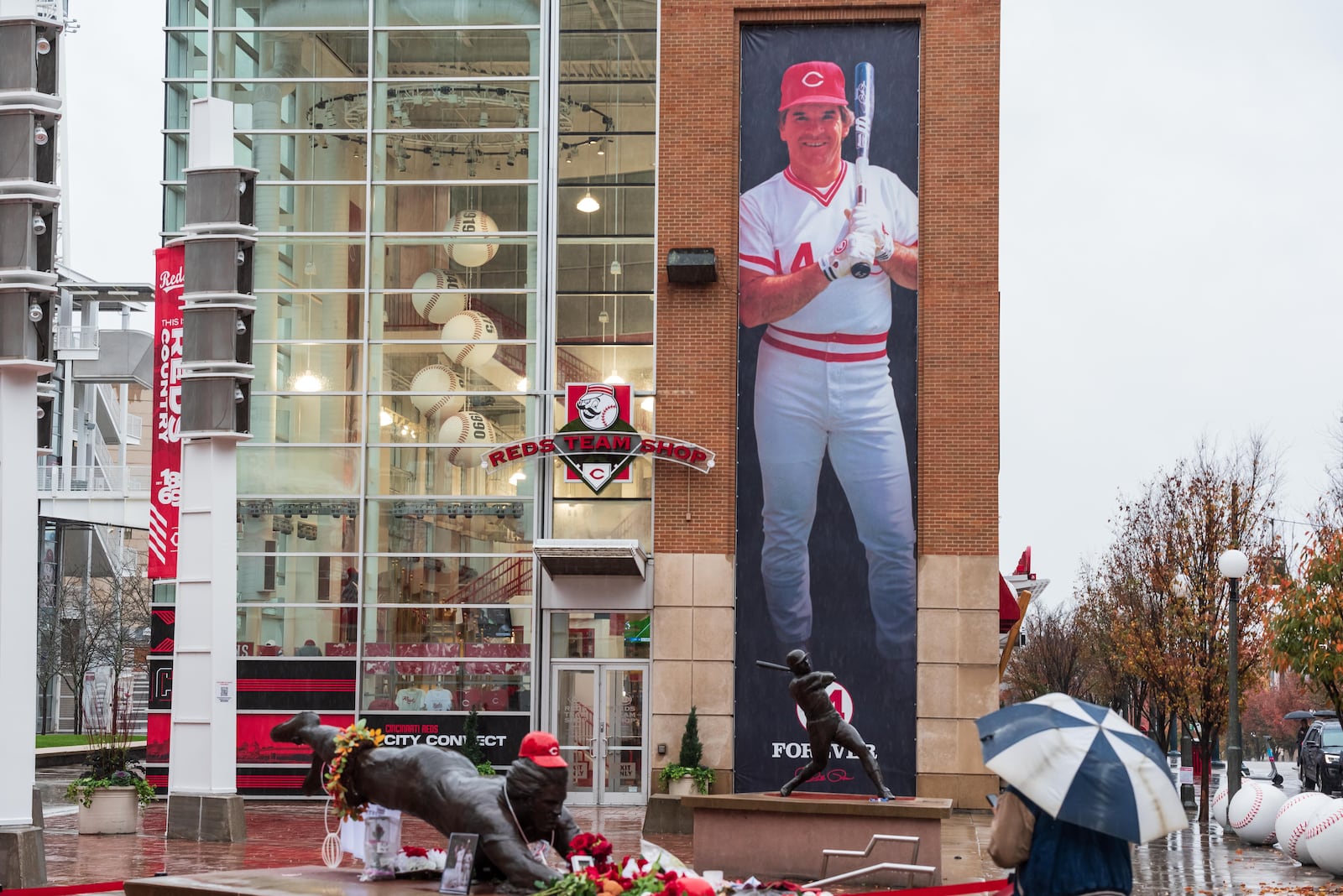 Thousands of Reds fans braved the steady rains to pay their respects to Cincinnati Reds legend and Major League Baseball’s all-time hits leader Pete Rose for a memorial visitation on Sunday, Nov. 10, 2024, at Great American Ball Park. Hosted by the Cincinnati Reds and Rose’s family, the visitation lasted 14 hours, a tribute to the “Hit King’s” jersey number. Rose died on Sept. 30 at the age of 83. TOM GILLIAM / CONTRIBUTING PHOTOGRAPHER