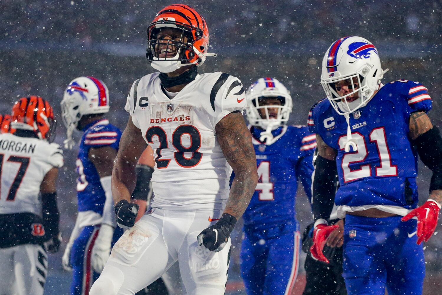 Bengals Bills Football