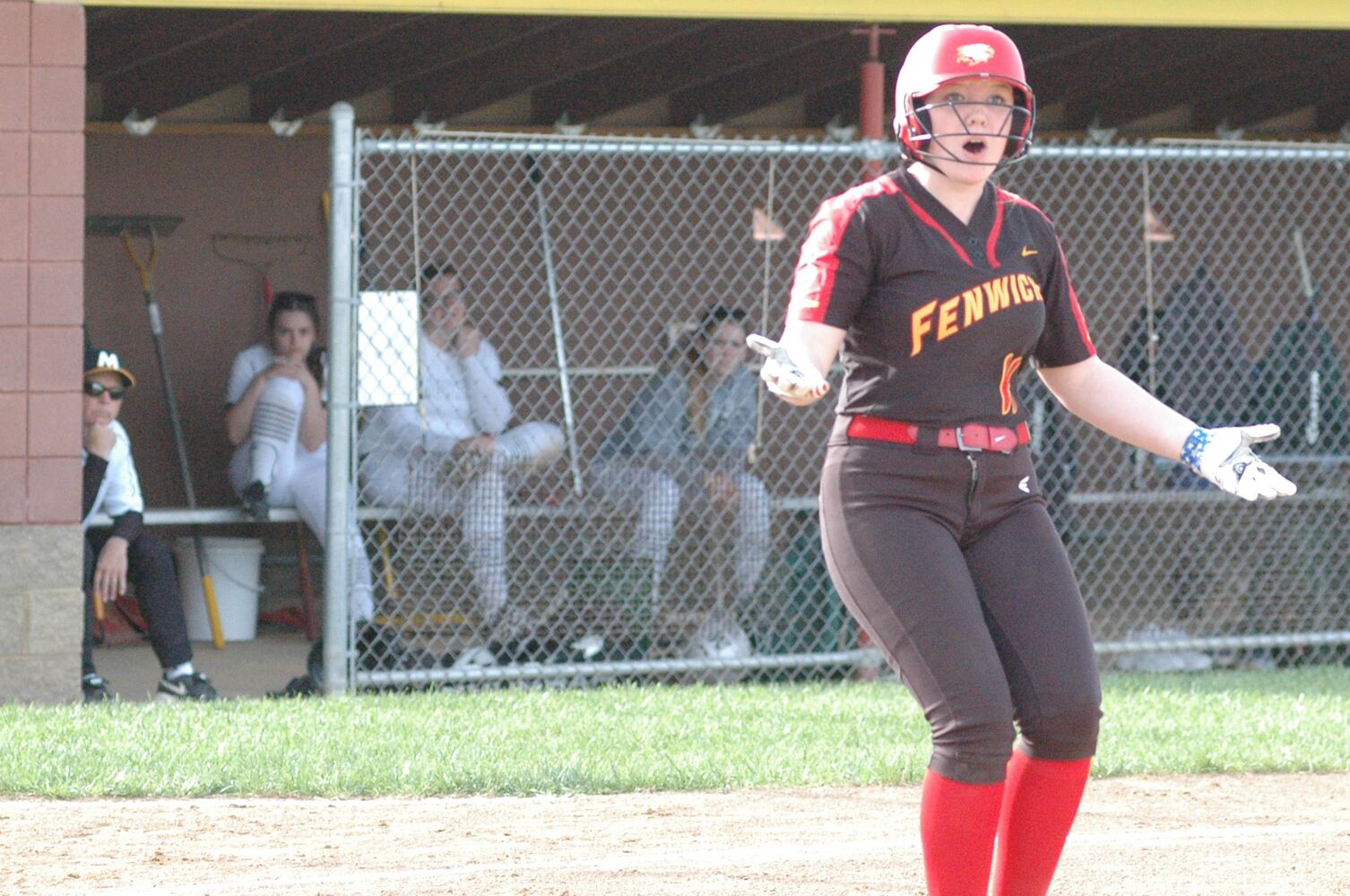 PHOTOS: Fenwick Vs. McNicholas High School Softball