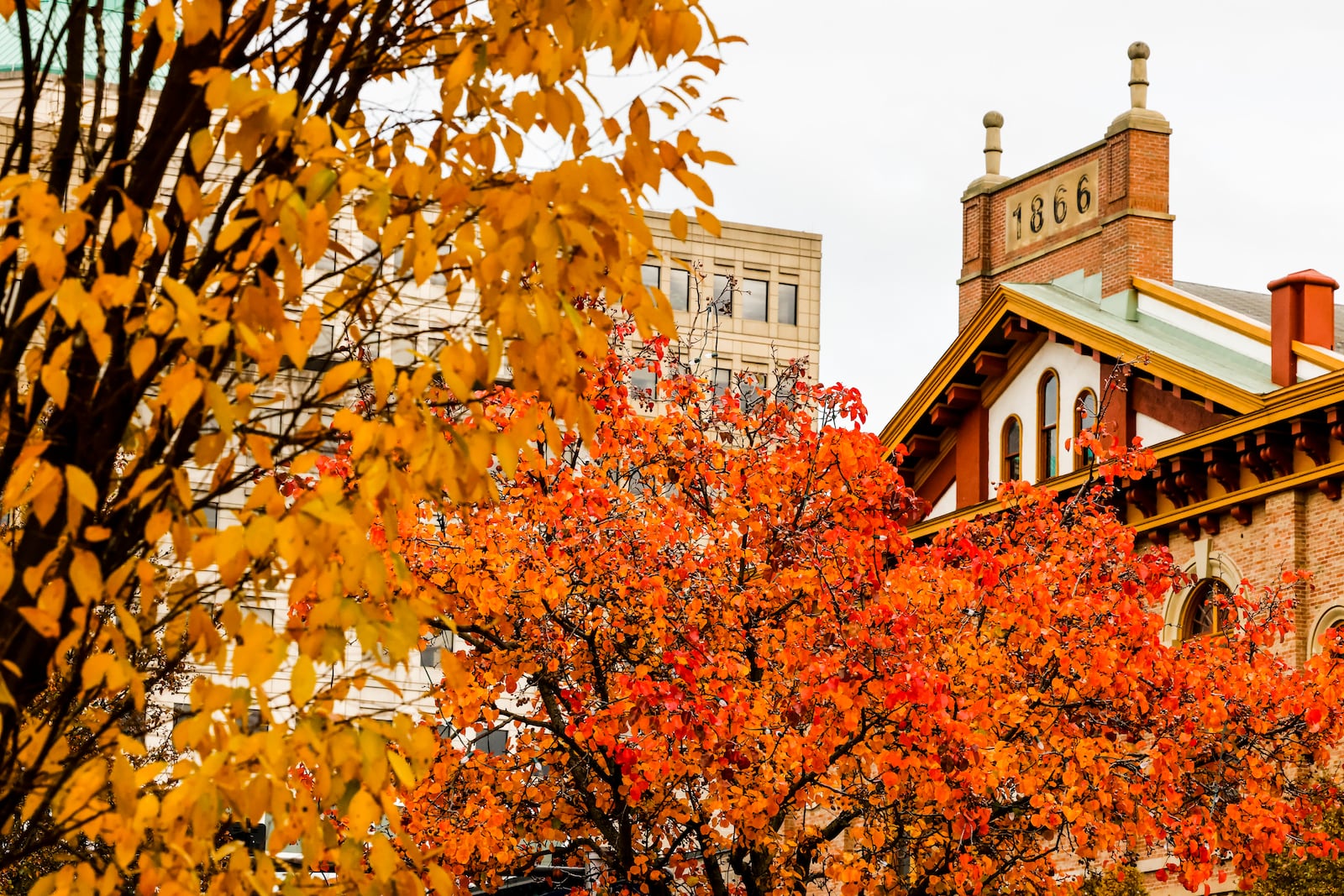 Journal-News file photo: Colorful trees line High Street with the Robinson-Schwenn building as a backdrop Wednesday, Nov. 17, 2021 in downtown Hamilton. NICK GRAHAM / STAFF