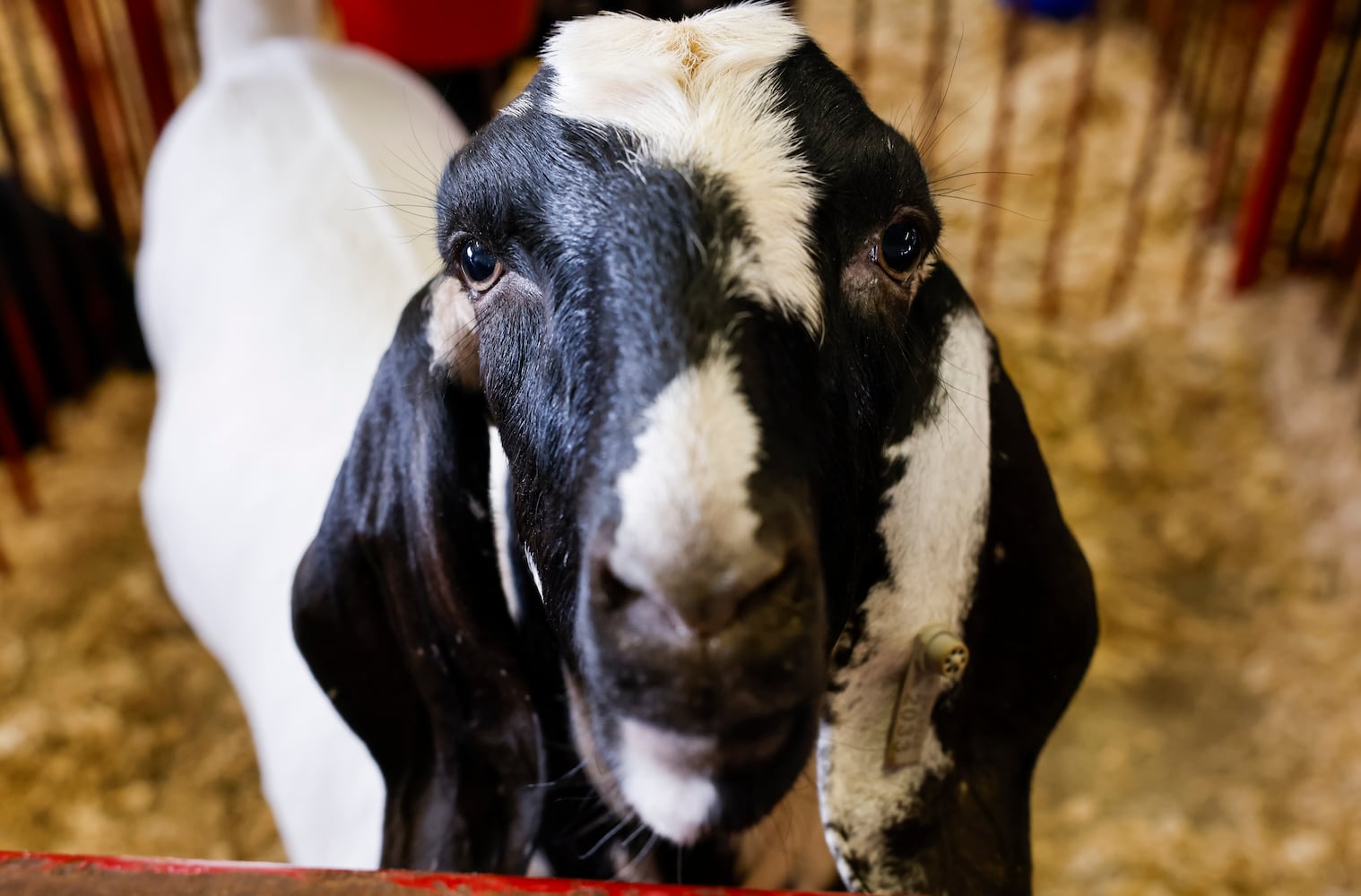 072423 Butler County Fair