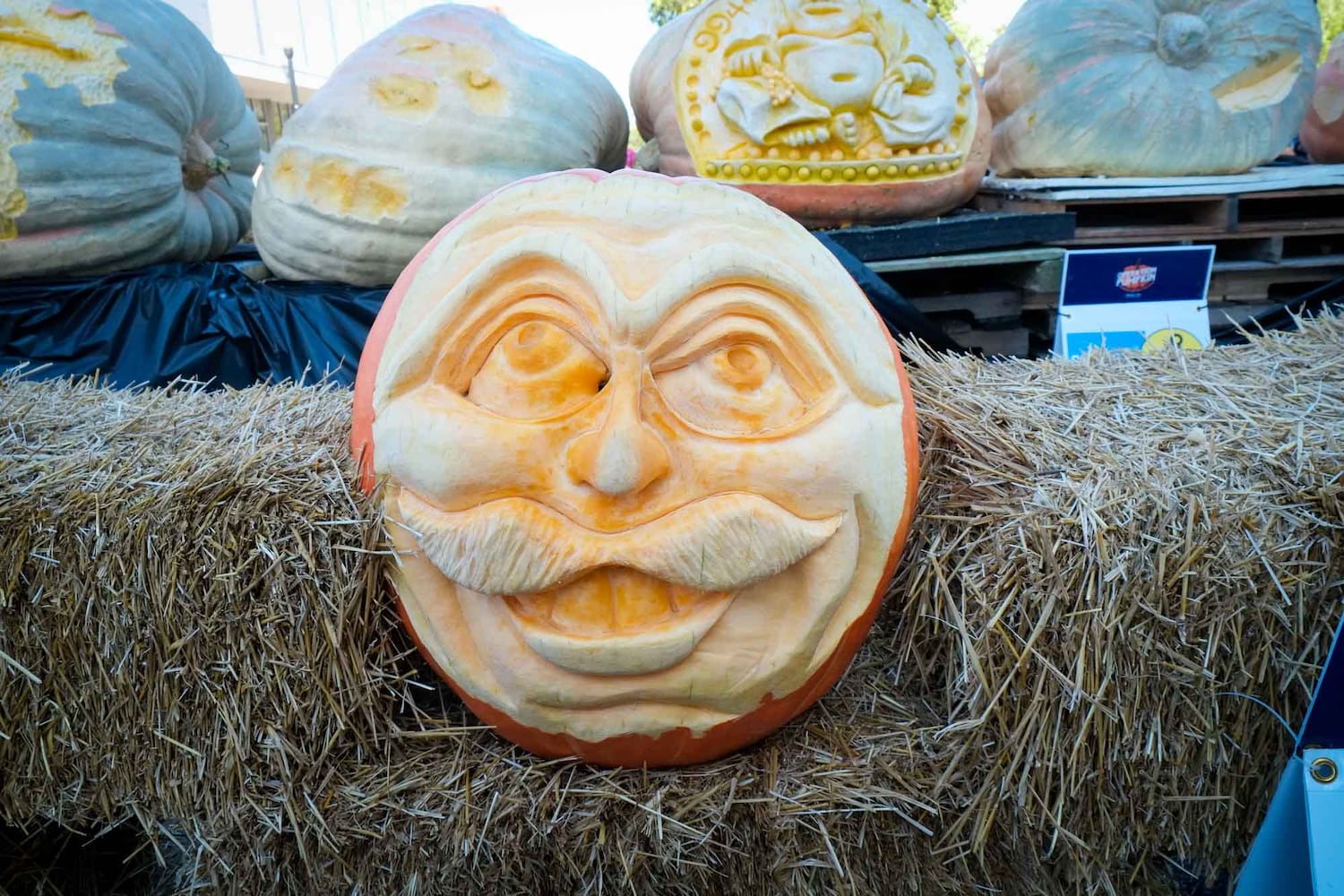 PHOTOS: Did we spot you at the Operation Pumpkin festival in Hamilton this weekend?