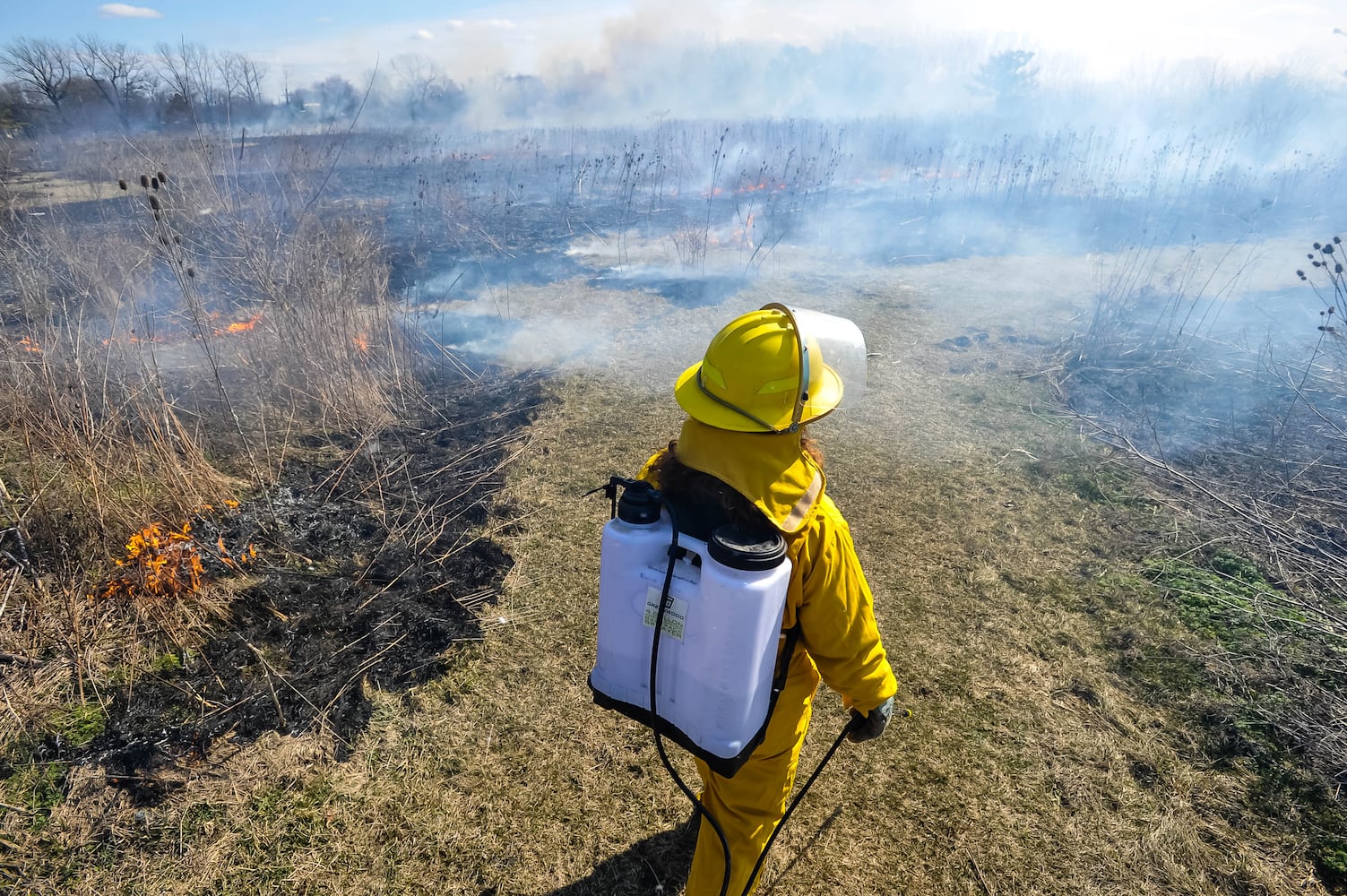 Controlled burns at Riverside Natural Area in Hamilton