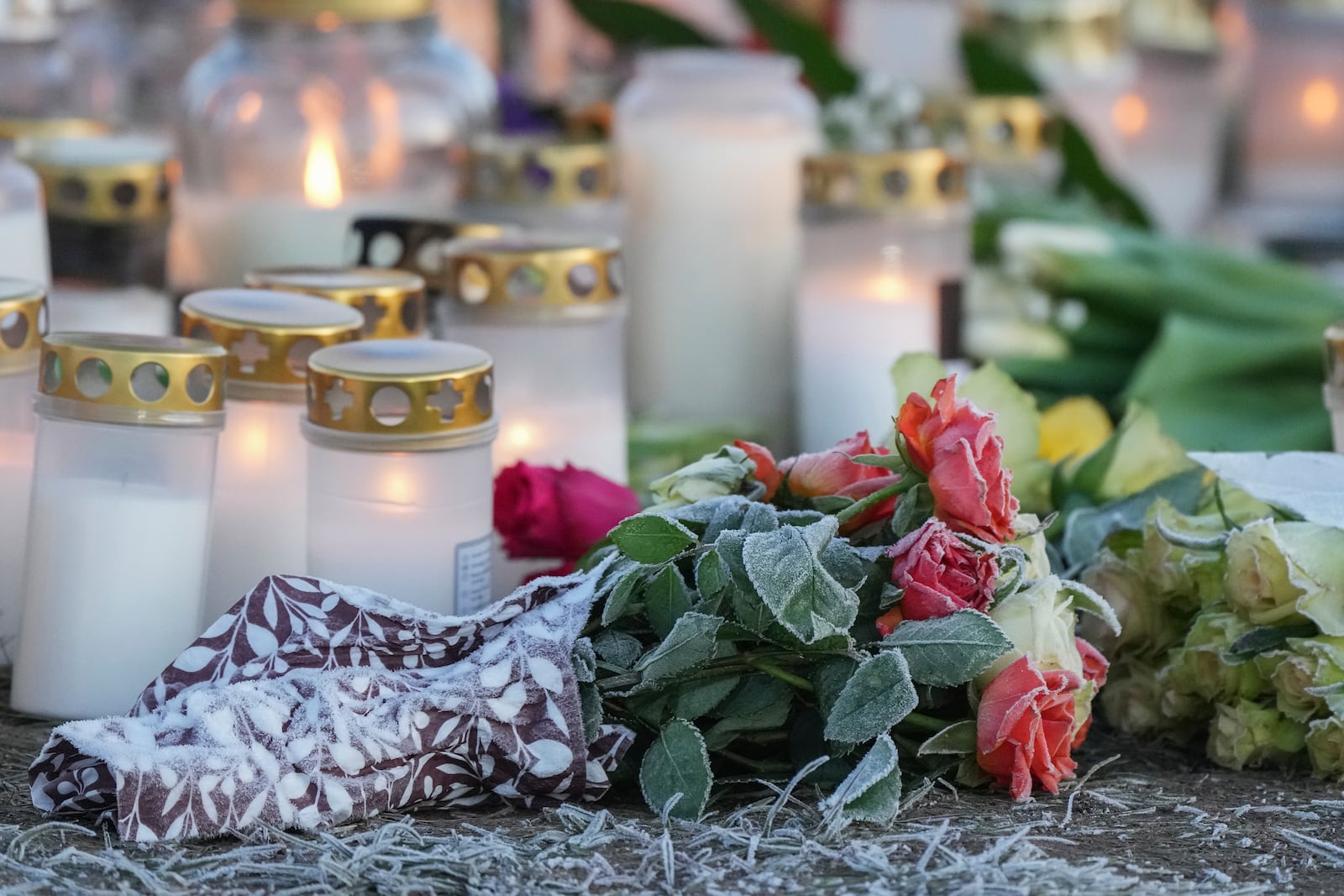 Hoarfrost covered the flowers at a makeshift memorial near the scene of a shooting at an adult education center on the outskirts of Orebro, Sweden, Thursday, Feb. 6, 2025. (AP Photo/Sergei Grits)