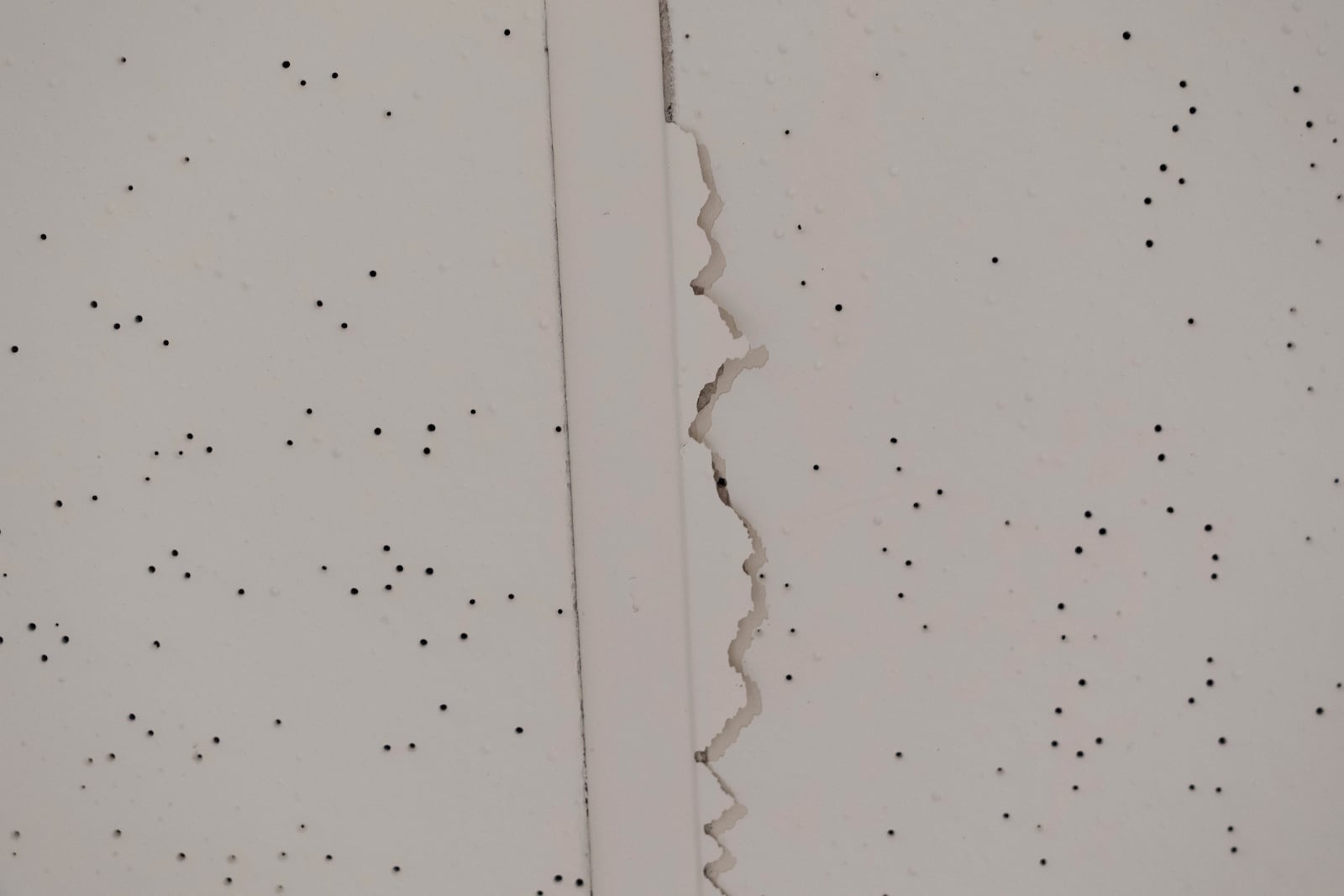 Cracks are seen in a ceiling at Smith Tower Apartments on Monday, March 10, 2025, in Vancouver, Wash. (AP Photo/Jenny Kane)