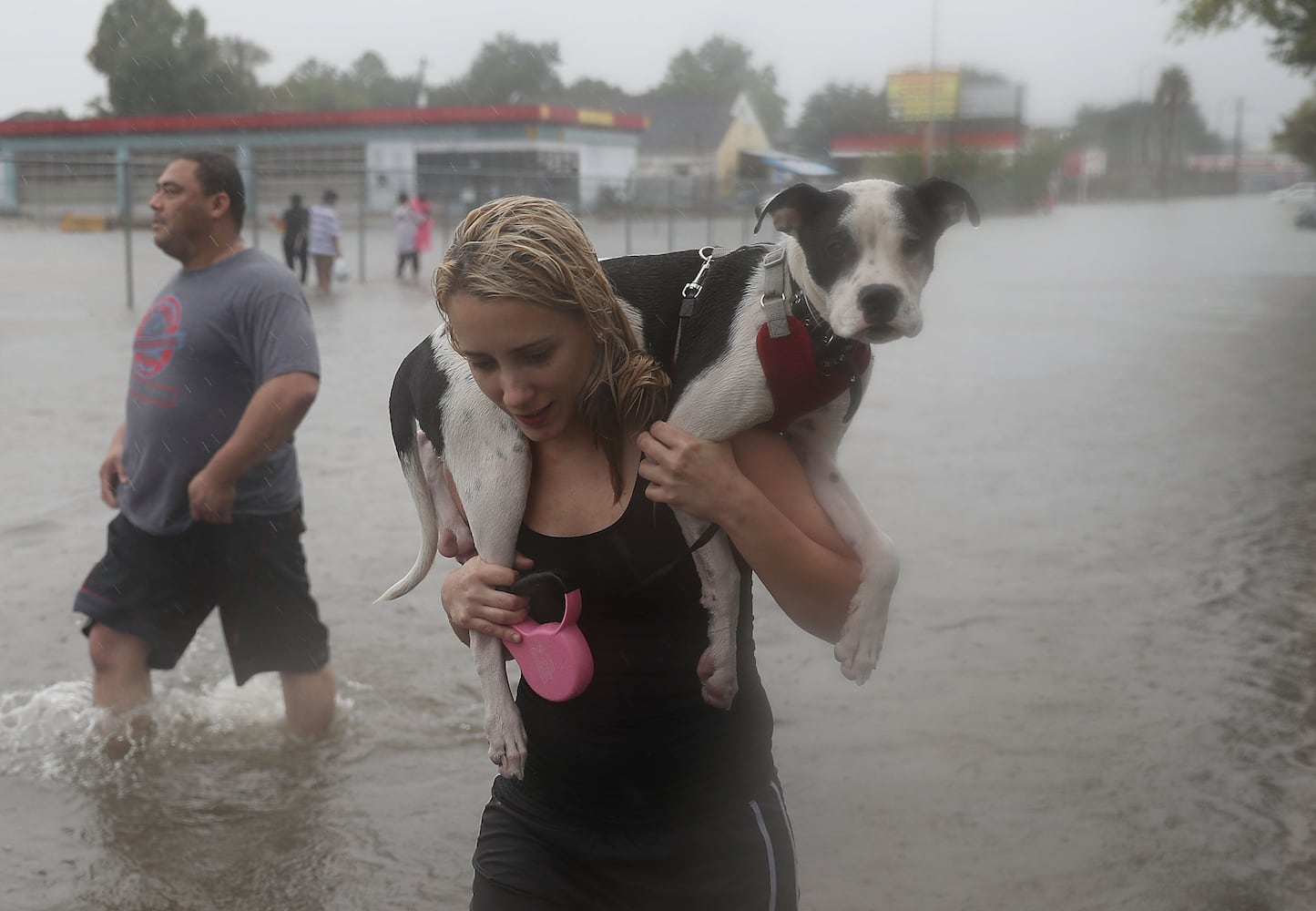 Harvey floods