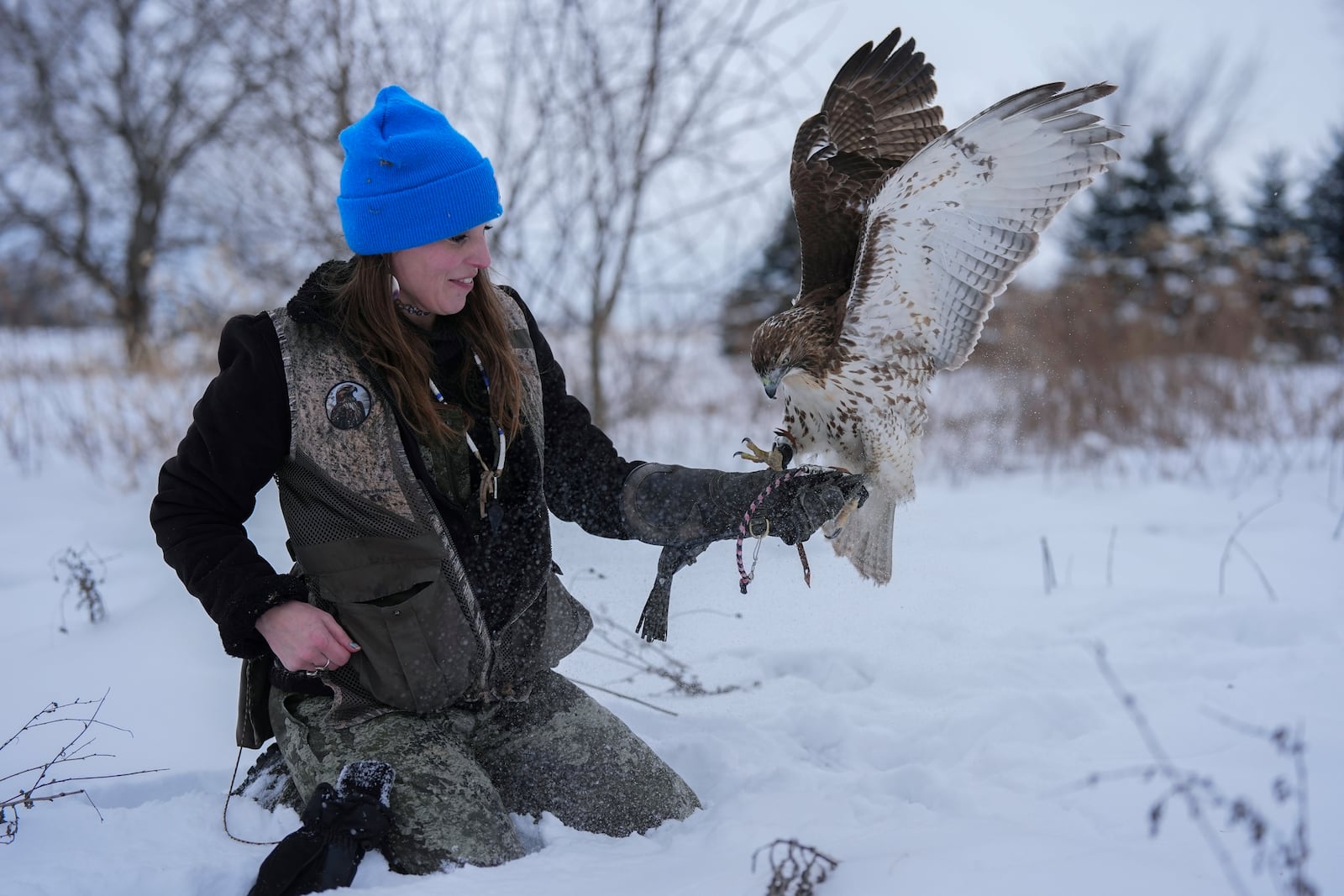 Stephanie Stevens holds out her arm as her hunting hawk Alexie Echo-Hawk lands after hunting Friday, Feb. 14, 2025, in Greenleaf, Wis. (AP Photo/Joshua A. Bickel)