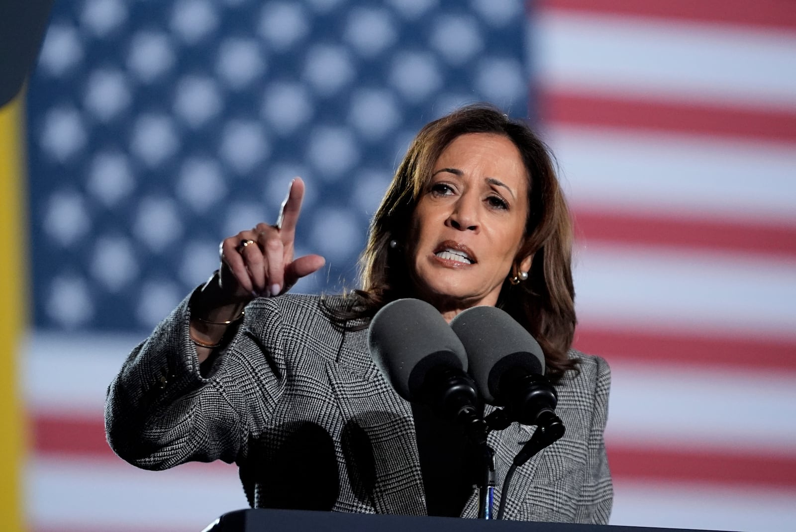 Democratic presidential nominee Vice President Kamala Harris speaks at a campaign event in Burns Park Monday, Oct. 28, 2024, in Ann Arbor, Mich. (AP Photo/Paul Sancya)