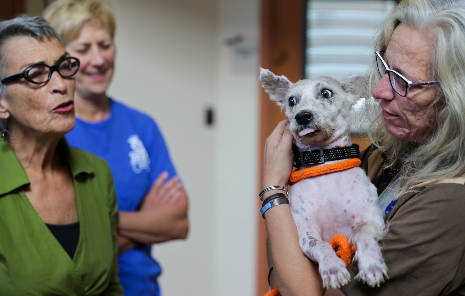 Karen Ocker, right, pets Scrim at Metairie Small Animal Hospital in Metairie, La., Thursday, Oct. 24, 2024. (Brett Duke/The Times-Picayune/The New Orleans Advocate via AP)